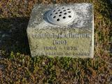 image of grave number 563213